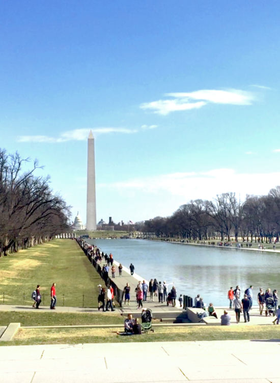 Blame-it-on-Mei-Miami-Fashion-Blogger-2017-City-Bike-Washington-Monument-Lincoln-Memorial-White-House-Washington-DC-Vlog